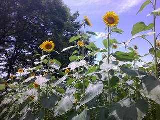 DSCF0046.jpg