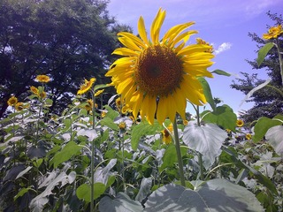 DSCF0048.jpg