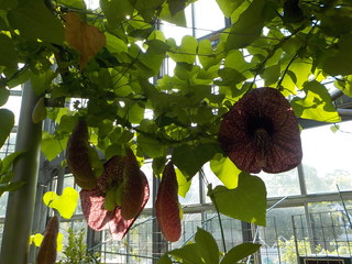 DSCN3676.JPG