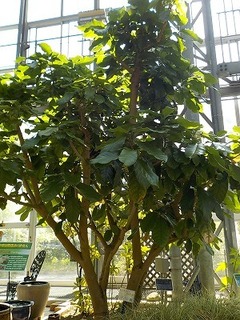 DSCN5907.jpg