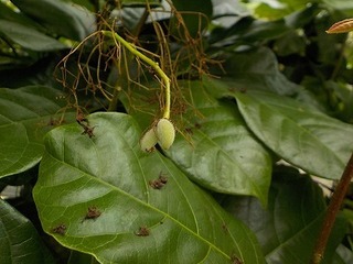 DSCN6382.jpg