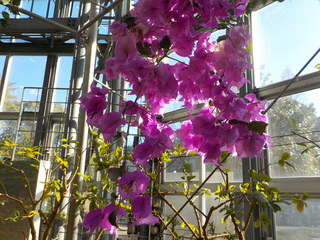 DSCN7776.JPG