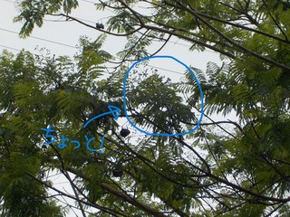 DSCN8603.JPG