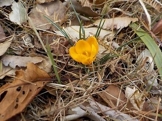 DSCN9750.jpg