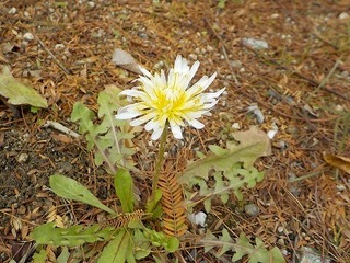 DSCN9872.jpg