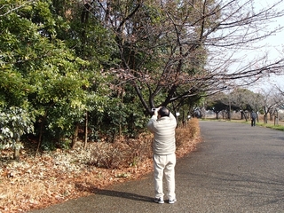 P2141592.JPG