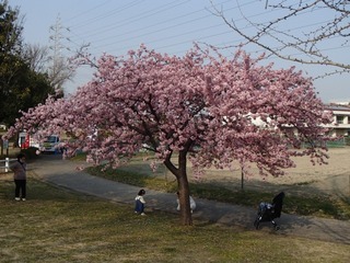 P3080895.jpg
