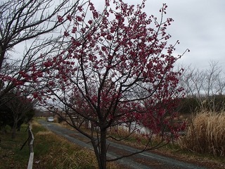 P3180995.jpg