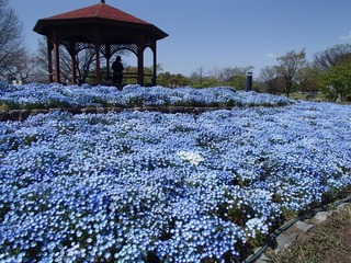 P4012034.jpg