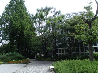 P6091815.jpg