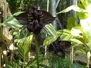 PA310874.jpg