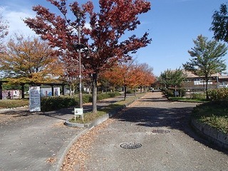 PB072012.jpg