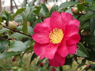 PC061199.jpg