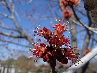 s-P3210866.jpg