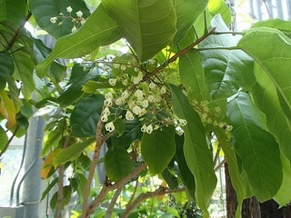 s-P5230409.jpg