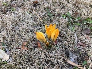 IMG_6968.jpg