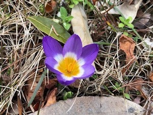 IMG_6977.jpg