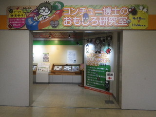IMGP0246.JPG