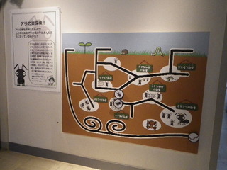 IMGP0249.JPG