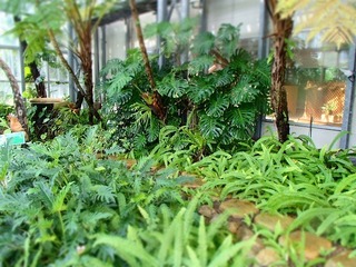 P8111115.jpg