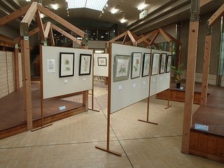 s-P5240417.jpg