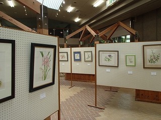 s-P5240418.jpg
