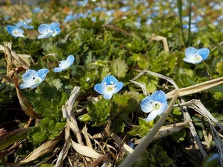 DSCN0080.jpg