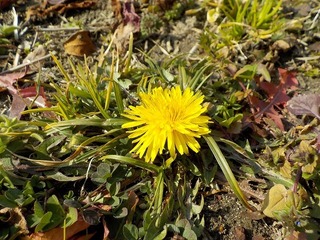 DSCN0081.jpg
