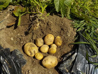 DSCN4605.JPG