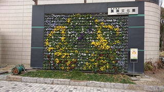 DSC_0748.JPG