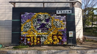 DSC_0887.JPG