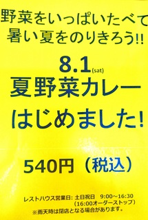 カレーチラシ.jpeg