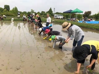 田植え2018.JPG