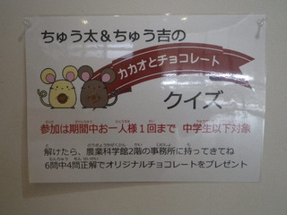 IMGP0044.JPG