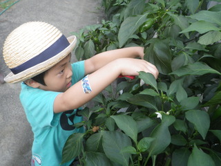 IMGP2948.JPG