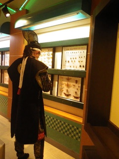 IMGP4321.JPG