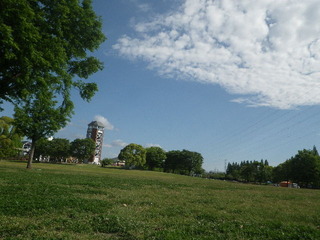 IMGP4757.JPG