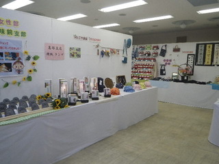 IMGP6582.JPG