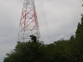 IMGP6644.JPG
