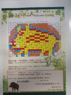 IMGP7468.JPG