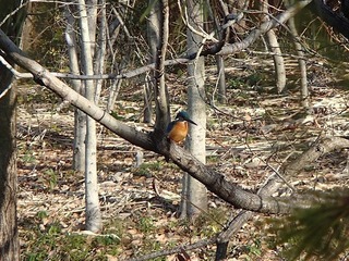 P1041449.jpg