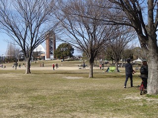 P2191014.jpg