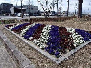 P3150530.jpg