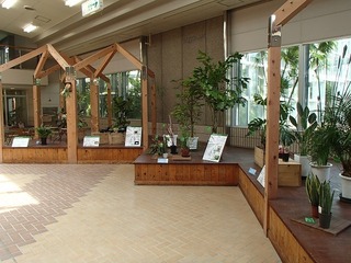 P4121455.jpg