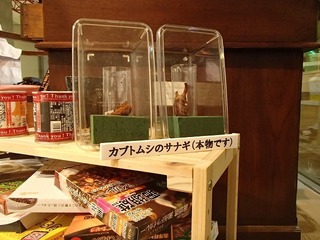 P6120505.jpg