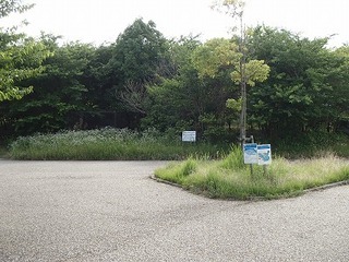 P7030946.jpg