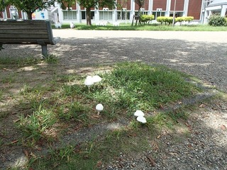 P9030420.jpg