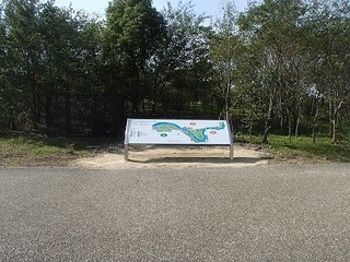 PA220484.jpg