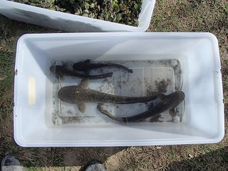 PB251058.jpg
