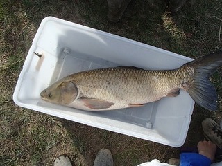 PB251080.jpg